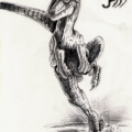 Veloci