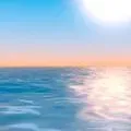 velocity