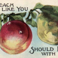 velvetplum