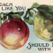 velvetplum