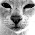 verslam974_gmail_com
