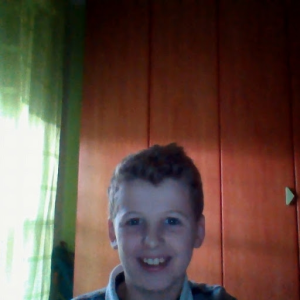 vertor