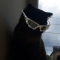 vibezxs