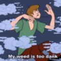 vIced