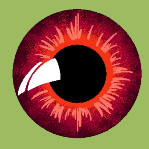 vidani