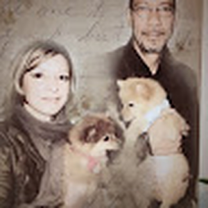 vinciwill51_gmail_com