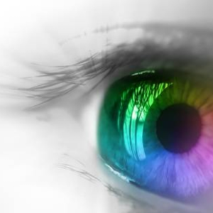 vision