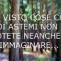 Vittorio Vais