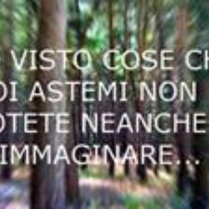 Vittorio Vais