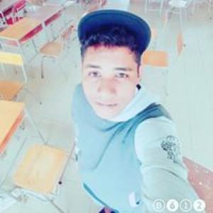vleach_aoksi
