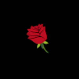 walkerscript232_gmail_com