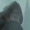 wandstep
