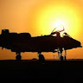 Warthog1_yt
