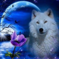 welka_solbiac