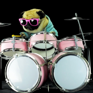 The_Drumming_Doggo