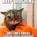 Wetpussy123