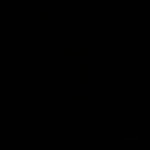 WhatsaTurtle