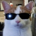 wikksin