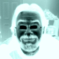 wilcokat007