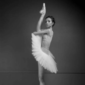 willabird