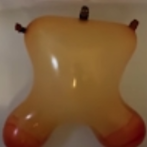 willf1