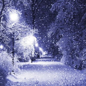 Winterman