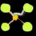 Wintrees