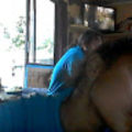 wit_kau_ruamata_school_nz