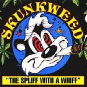 wizko