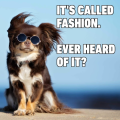 wlafave2969_stu_hcpsnc_org