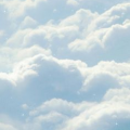 woccyb8723