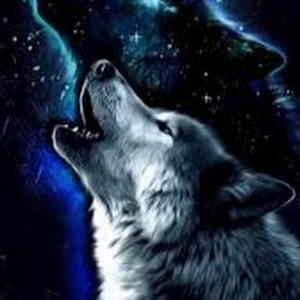 wolf_create