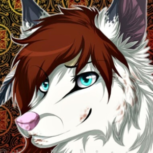 wolf_wolf