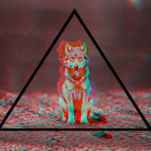 W1ckedwolff