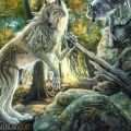 wolfboyedm