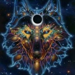 WolfDM