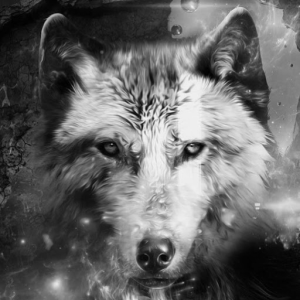 wolfgaming34026