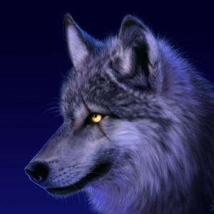 wolfhunter28
