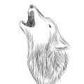 WolfiRomania
