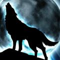 Wolfrunner1322