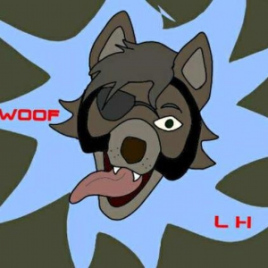 WoofDaHusky