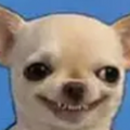 wow14