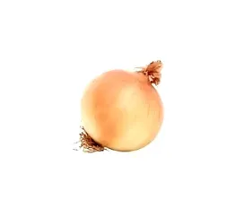 wowthatsaboxofonionsdotorg