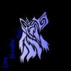 wulffreak1221