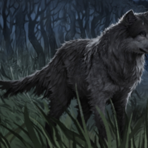 CHAOTICWOLFMUSIC