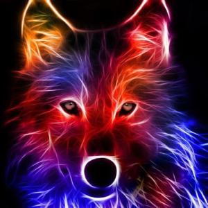 wYVhC