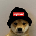 xdsensis