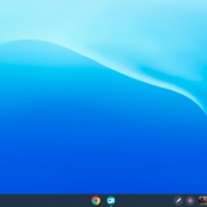 xeonmorph