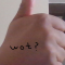 nogurt