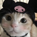 xx_sid_r_xx_gmail_com